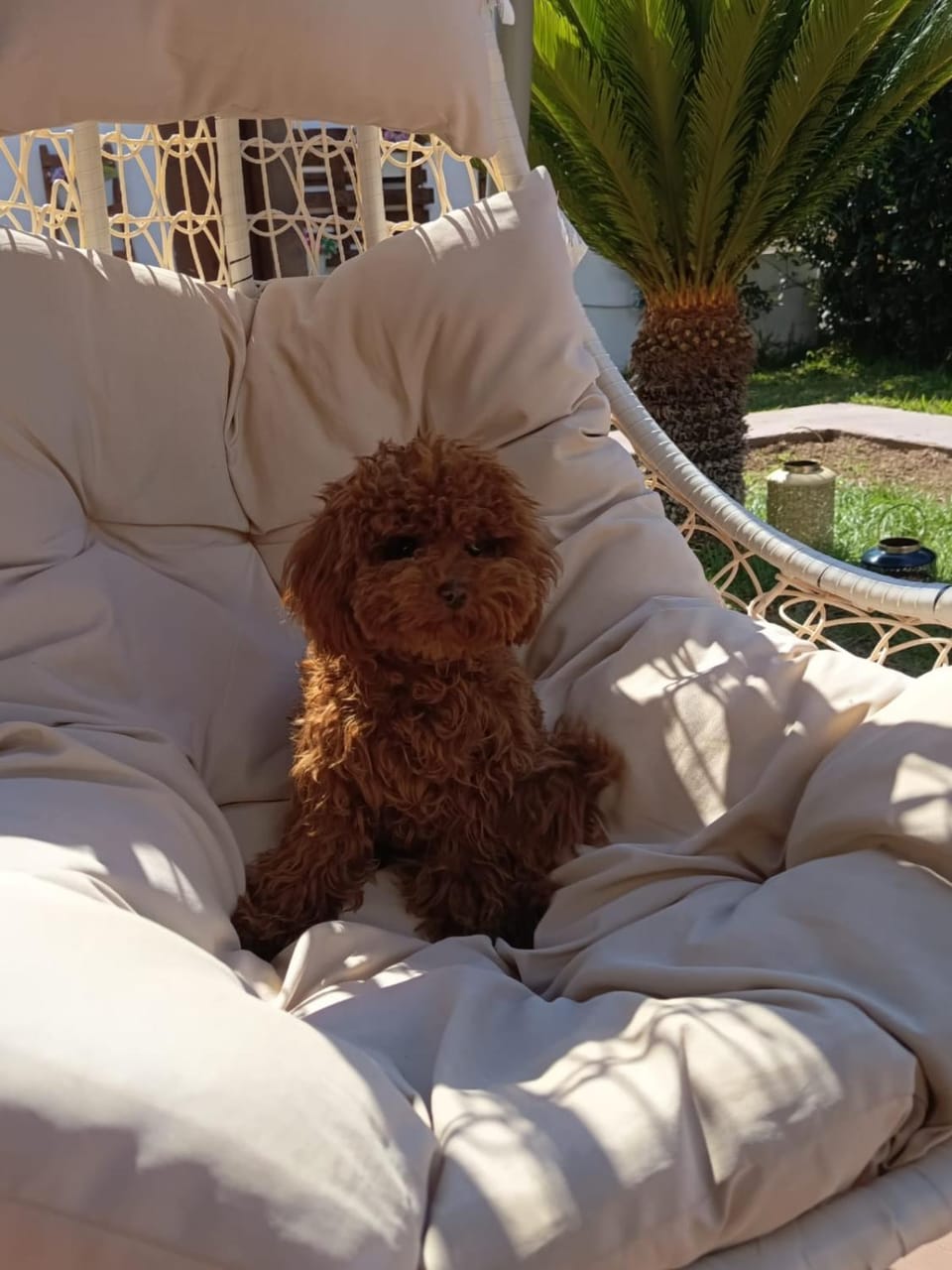 Summer Rooms Caucana Vacation rental in Sicily