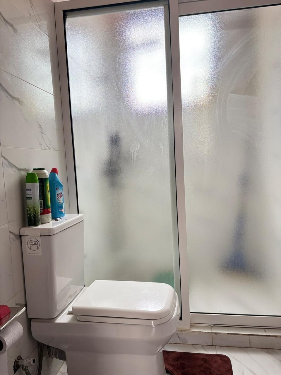 Toilet, Bathroom
