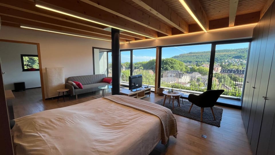 Bed, TV and multimedia, Living room, Photo of the whole room, Seating area, Bedroom