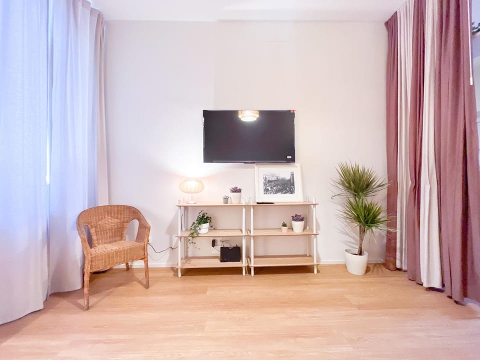 TV and multimedia