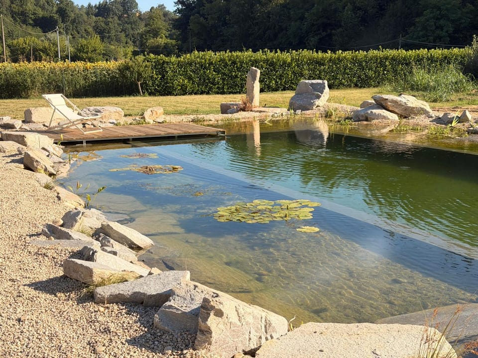 Natural landscape, Swimming pool