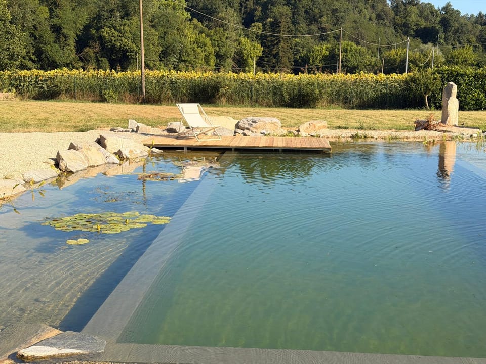 Swimming pool, Swimming pool