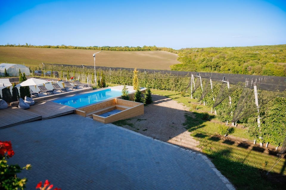 Garden, Swimming pool