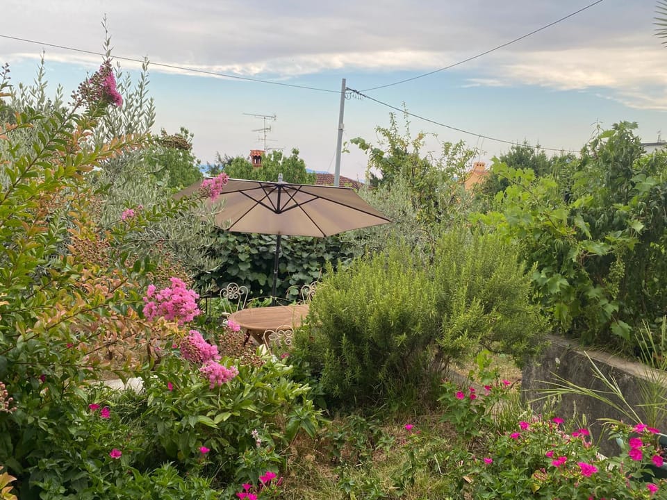 Garden, Garden view