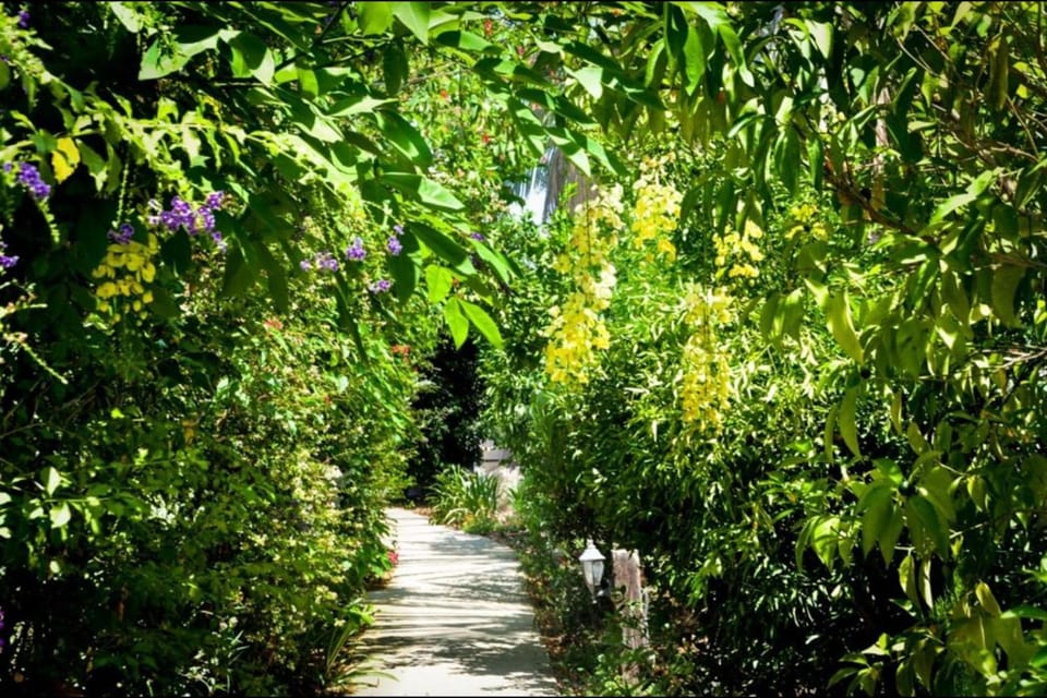 Natural landscape, Garden, Garden view