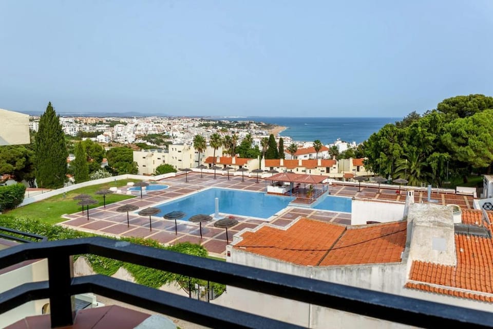 Garden, Swimming pool