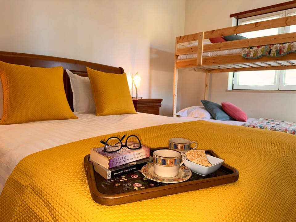 Bed, Photo of the whole room, Bedroom, bunk bed