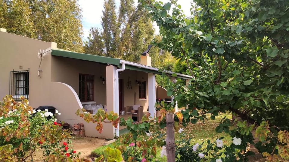 Property building, Garden, Balcony/Terrace