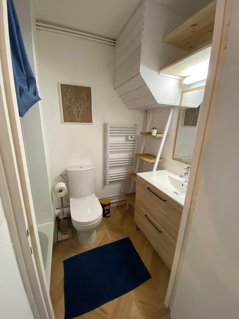 Toilet, Bathroom