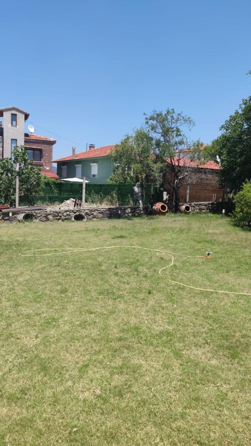 Day, Natural landscape, Garden, Garden view
