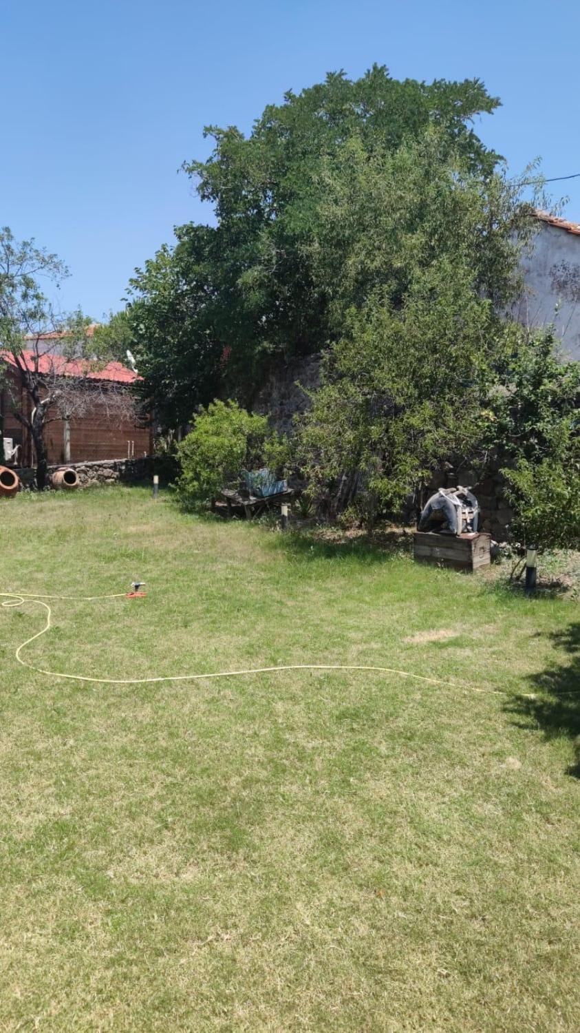 Day, Natural landscape, Garden, Garden view