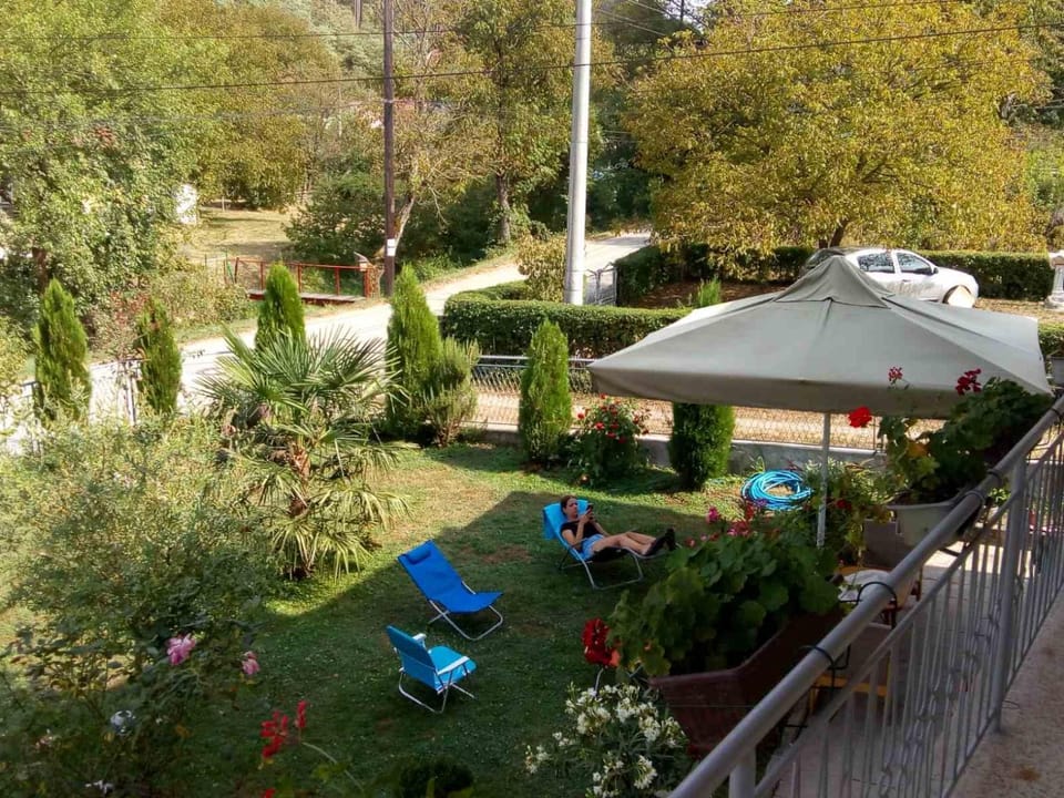 Spring, Day, Natural landscape, Garden, Garden view