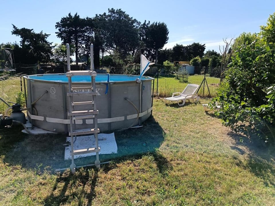 Day, Garden, Pool view, sunbed
