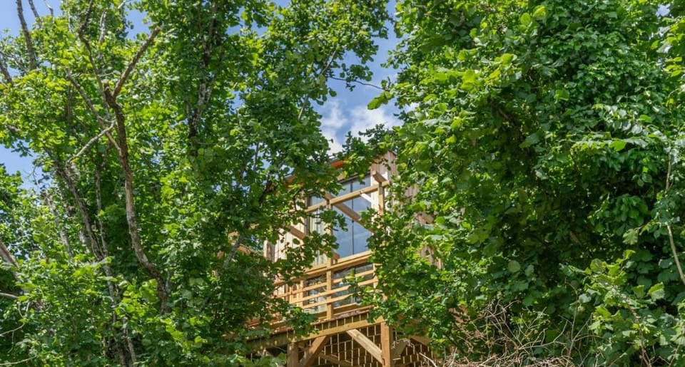 L'Observatoire Sauvage - Climatisation - Nature - Insolite - Amboise House in Amboise
