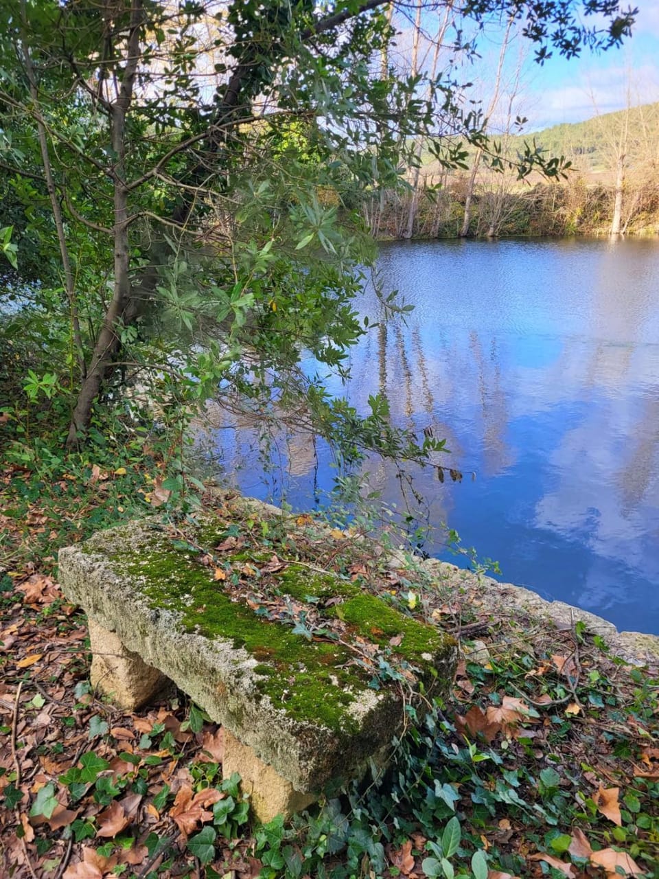 Spring, Day, Lake view