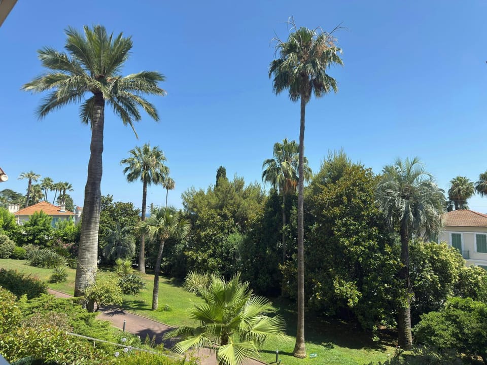 Spring, Day, Natural landscape, Garden, Garden view