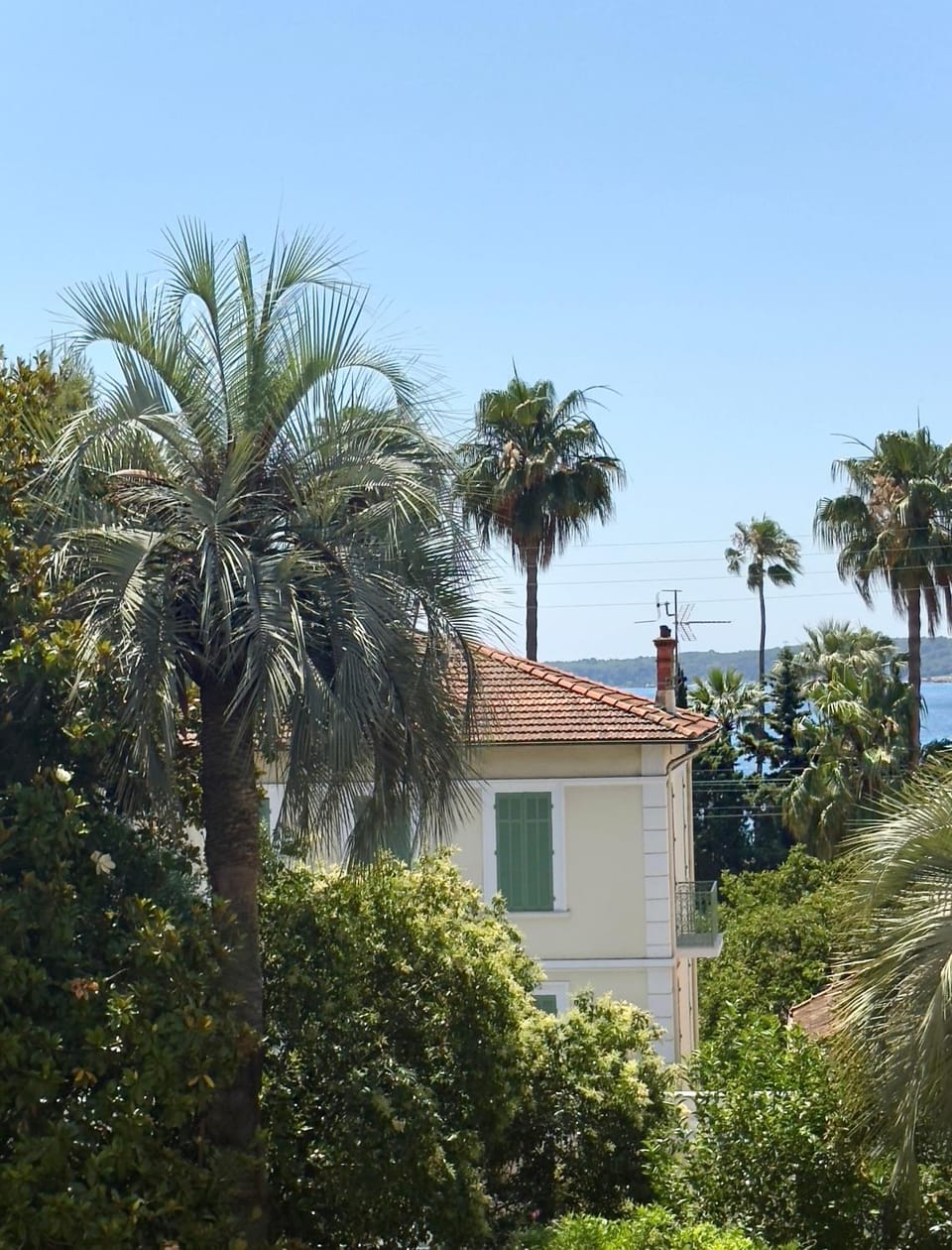 Natural landscape, Garden view