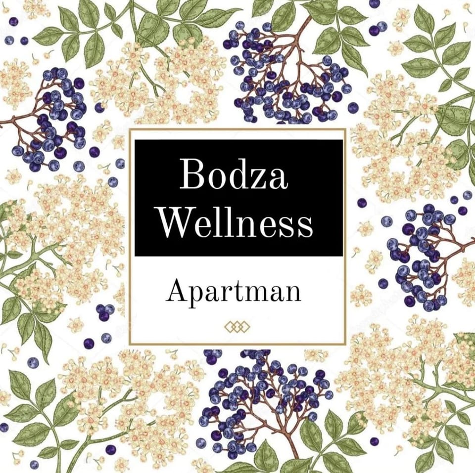 Bodza Wellness Apartman Apartment in Hungary