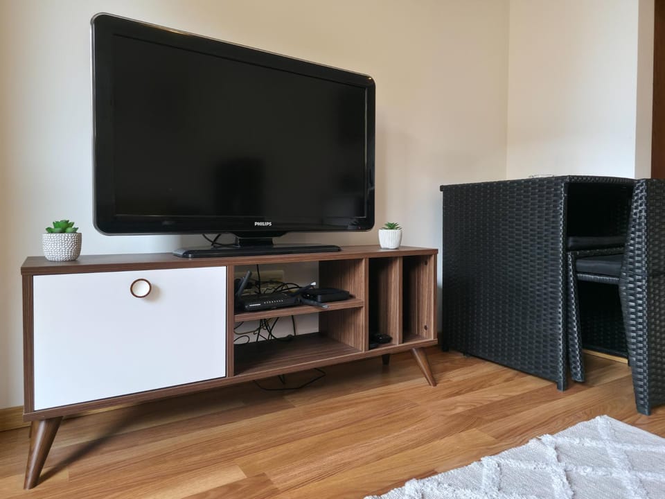 TV and multimedia