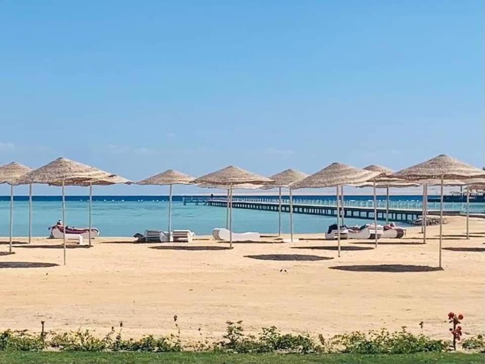 Beach, Lake view, sunbed