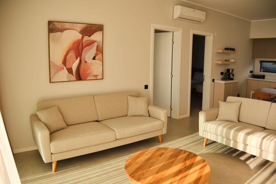 TV and multimedia, Kitchen or kitchenette, Living room, Seating area, air conditioner