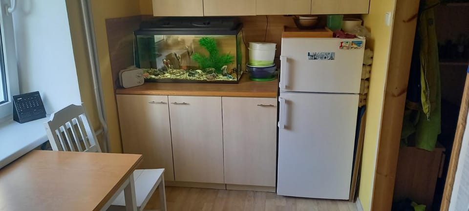 oven, pet friendly, stove, kitchen
