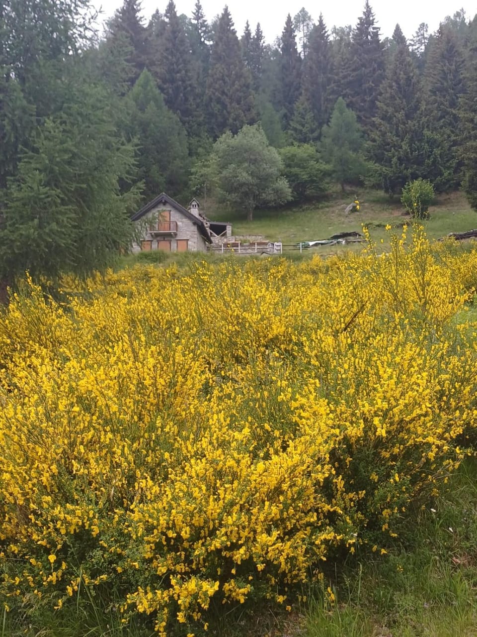Spring, Natural landscape