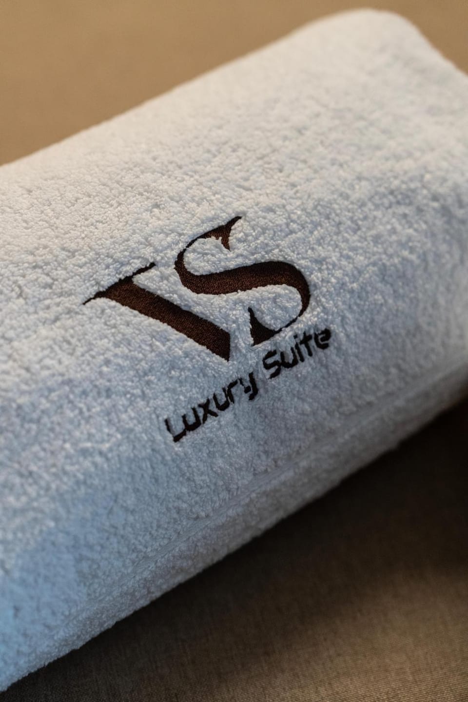 VS LUXURY SUITE with SPA House in Bari