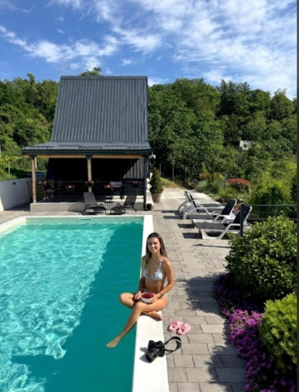 Panorama Pool Hills Villa in Novi Sad