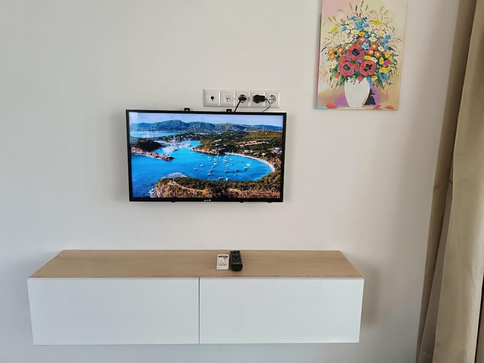 Communal lounge/ TV room, TV and multimedia