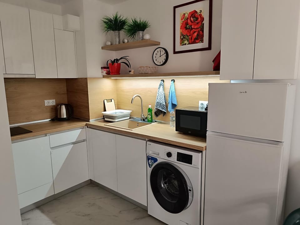 Coffee/tea facilities, Kitchen or kitchenette, oven, stove, washing machine