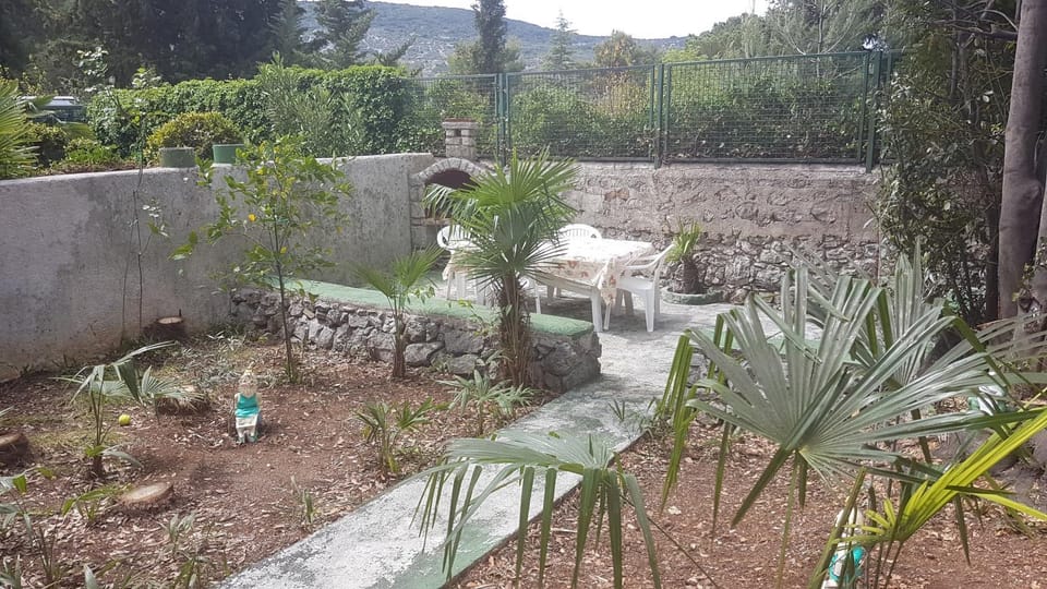 Spring, Day, Natural landscape, Garden, On site, Garden view
