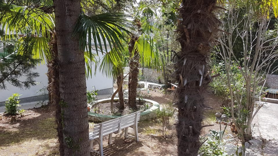 View (from property/room), Garden view