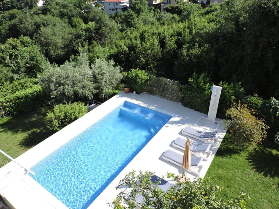 Garden, Garden view, Pool view, Swimming pool, sunbed