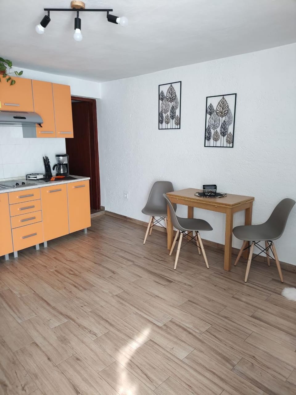 Licul Apartment Apartment in Rovinj