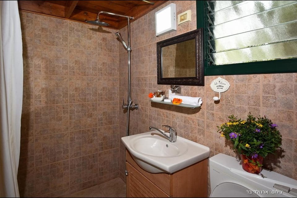 Shower, Toilet