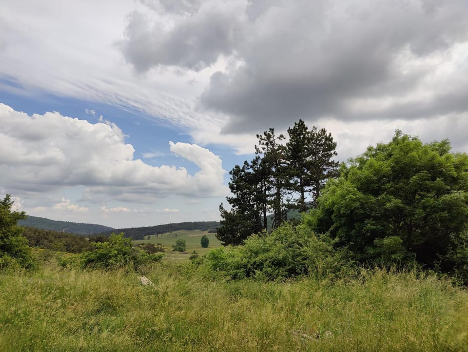 View (from property/room)