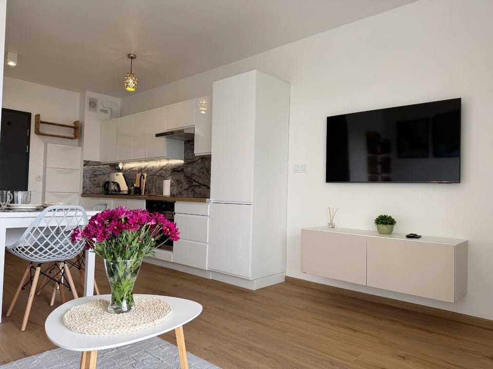 TV and multimedia, Kitchen or kitchenette, Dining area, oven, stove