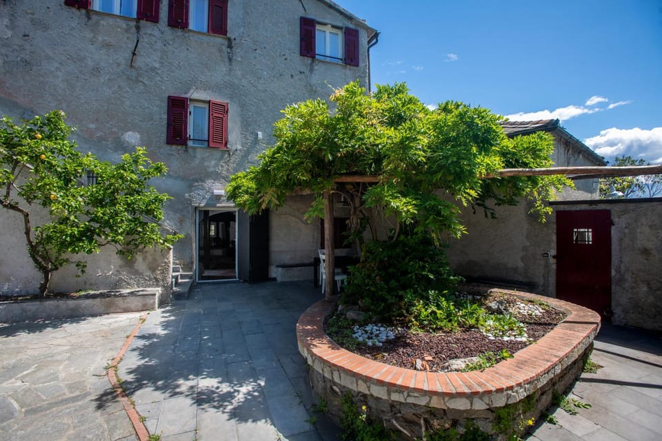 Property building, Garden