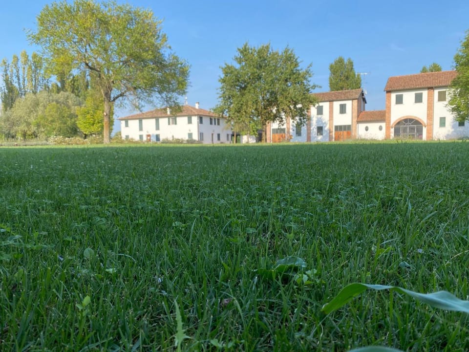Property building, Spring, Natural landscape, Garden, Garden view