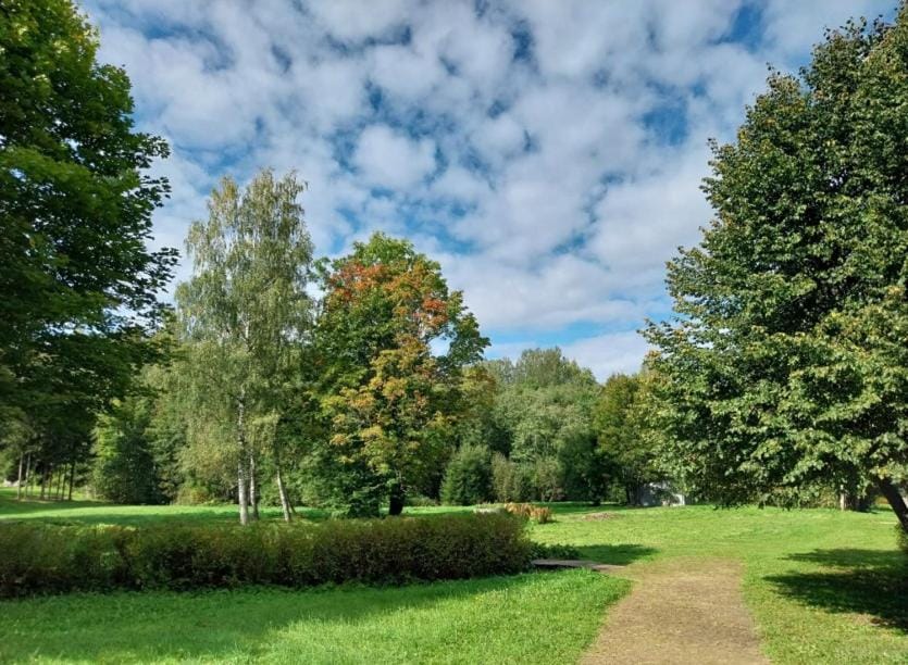 Garden view