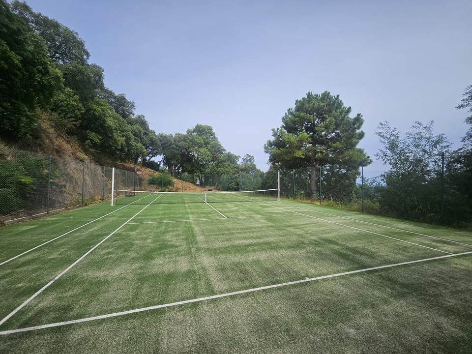 Tennis court