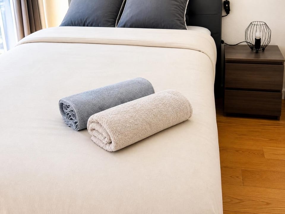 Chambre moderne au Petit Bayonne chez particulier Vacation rental in Bayonne