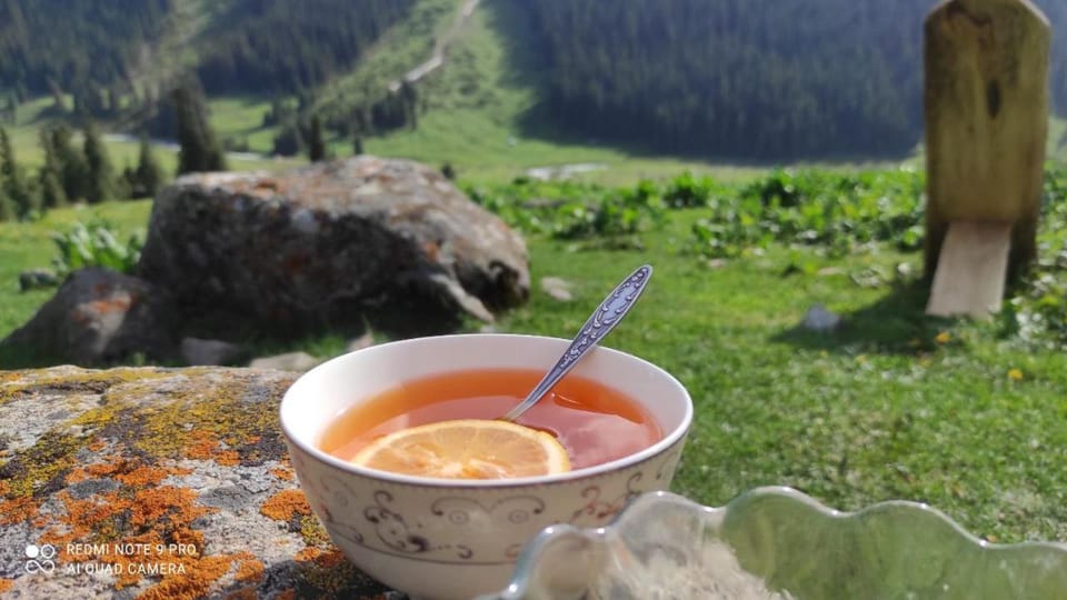 Day, Natural landscape, Food and drinks, Food, Mountain view, Drinks