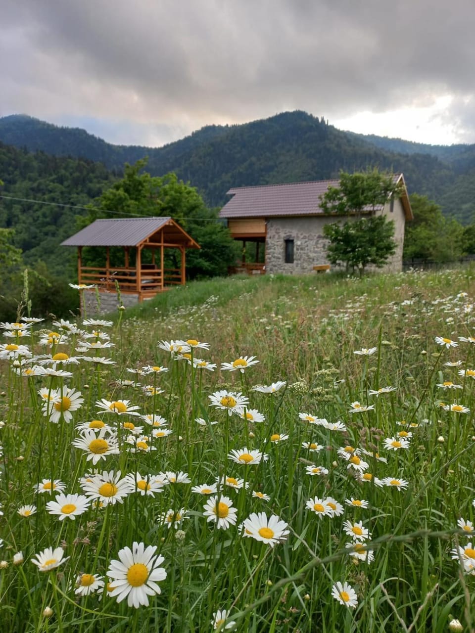 Sakartvelo Soul Villa in Georgia