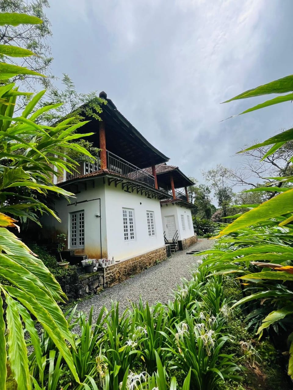 Sahyadri Health Resorts by Cat homes House in Kerala