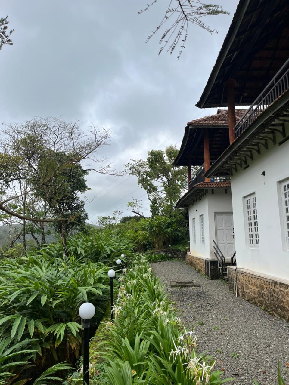 Sahyadri Health Resorts by Cat homes House in Kerala