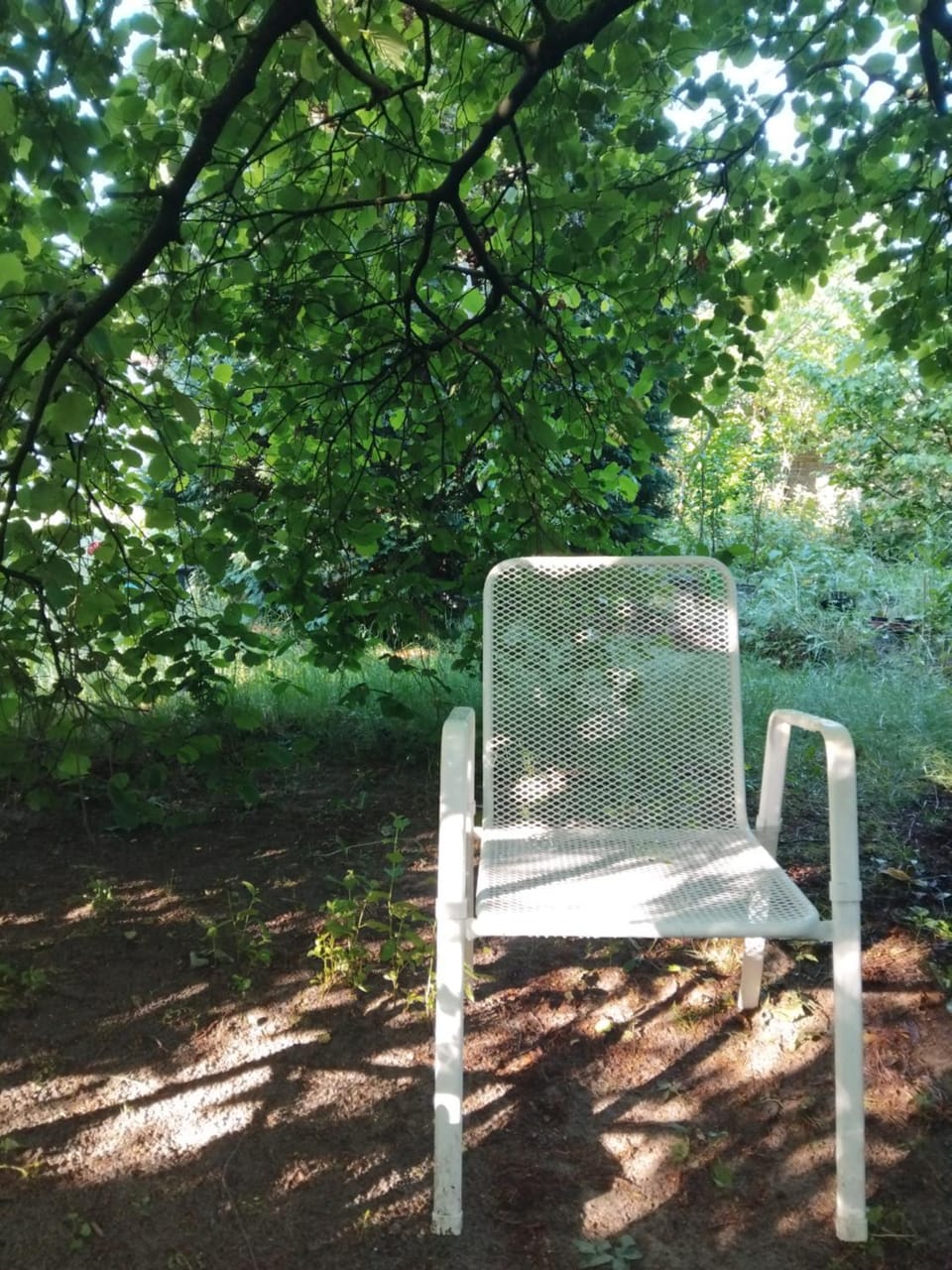 Gartenblick Vacation rental in Brunswick