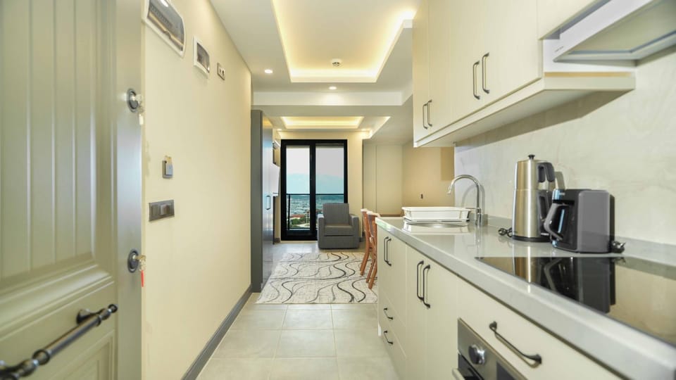 Kitchen or kitchenette, Living room, Seating area, stove