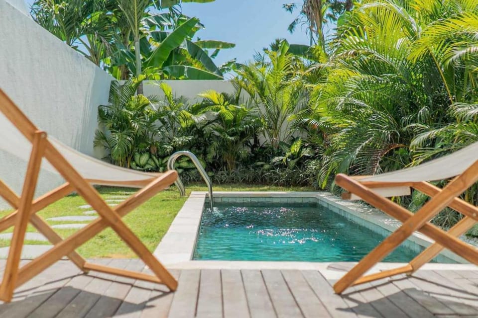 Patio, Spring, Day, Natural landscape, Garden, Garden view, Pool view, Swimming pool, sunbed
